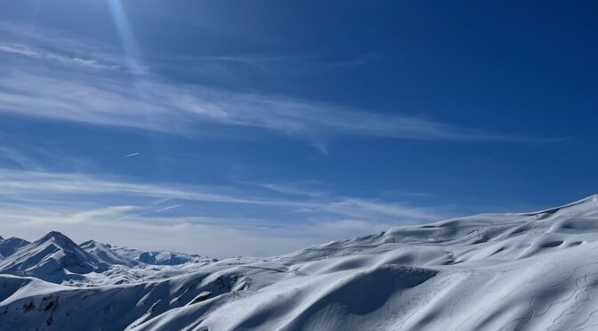 Les lundis aux soleils